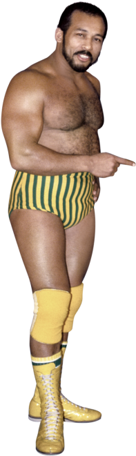 Johnny Rodz - Wwe Hall Of Fame Johnny Rodz (320x728), Png Download
