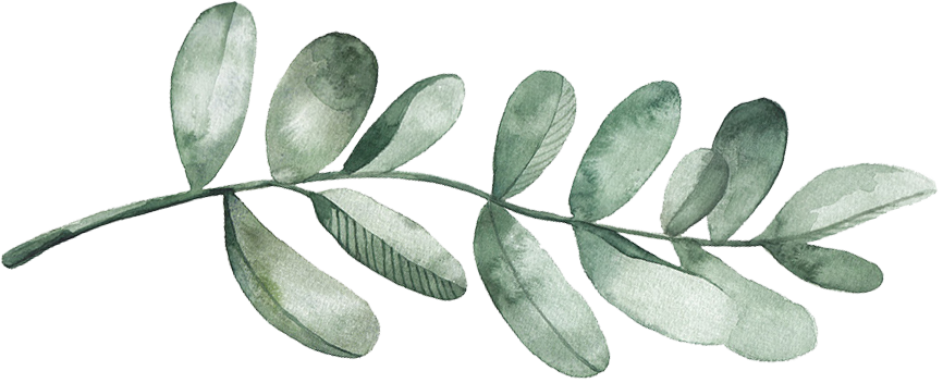 Registry - Envelope (866x352), Png Download