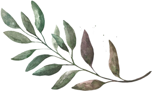 Leaf Hor - Illustration (727x224), Png Download