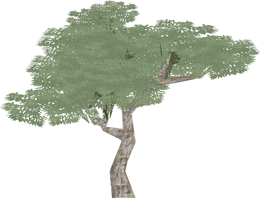 Eucalyptus 2 - Wiki (831x831), Png Download