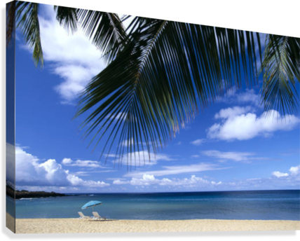 Hawaii, Lanai, Hulopoe Beach, Palm Fronds In Foreground, - Lanai (428x344), Png Download