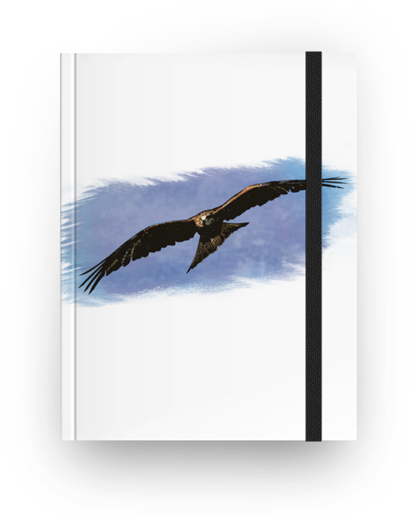 Caderno Watercolor Predator De Felipe Gomesna - Golden Eagle (800x800), Png Download
