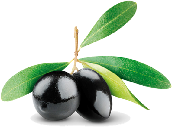 Extra Virgin Oil Pomace Greek Farm Oilolive - Aphrodite Cosmetics (600x631), Png Download
