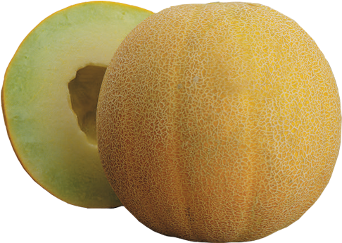 Galia - Turlock Fruit Co (500x500), Png Download