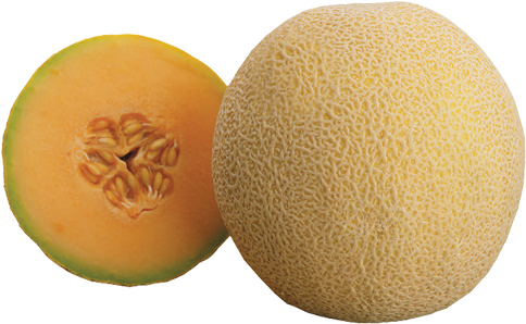 Cantaloupe - Fruit (500x500), Png Download