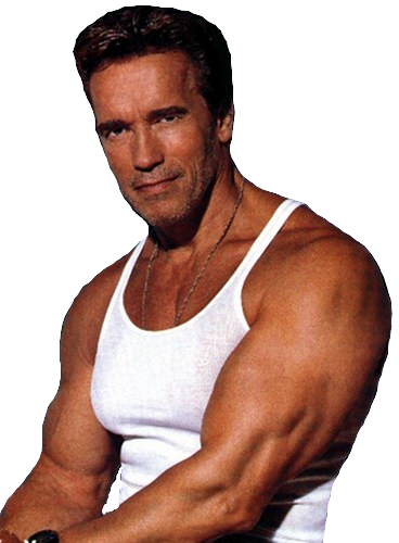 Arnold Schwarzenegger - Arnold Schwarzenegger Body 1991 (368x500), Png Download