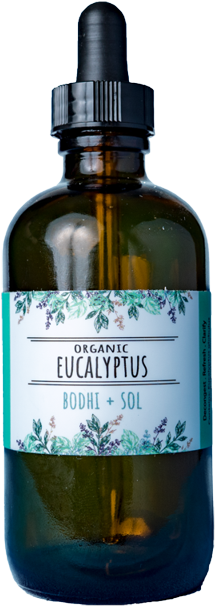 Organic Eucalyptus Essential Oil - Prieto Picudo (640x640), Png Download