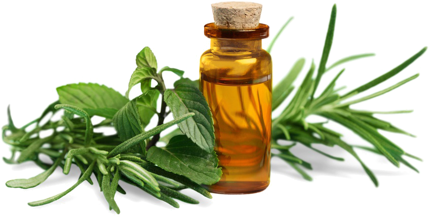 Essential Oils Png - My Recipe Book For Essential Oil Blends: Custom - Blank (864x444), Png Download