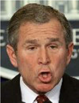 Georges W Bush, Hilarious Stuff, Funny Jokes, Funny - George Bush (490x350), Png Download
