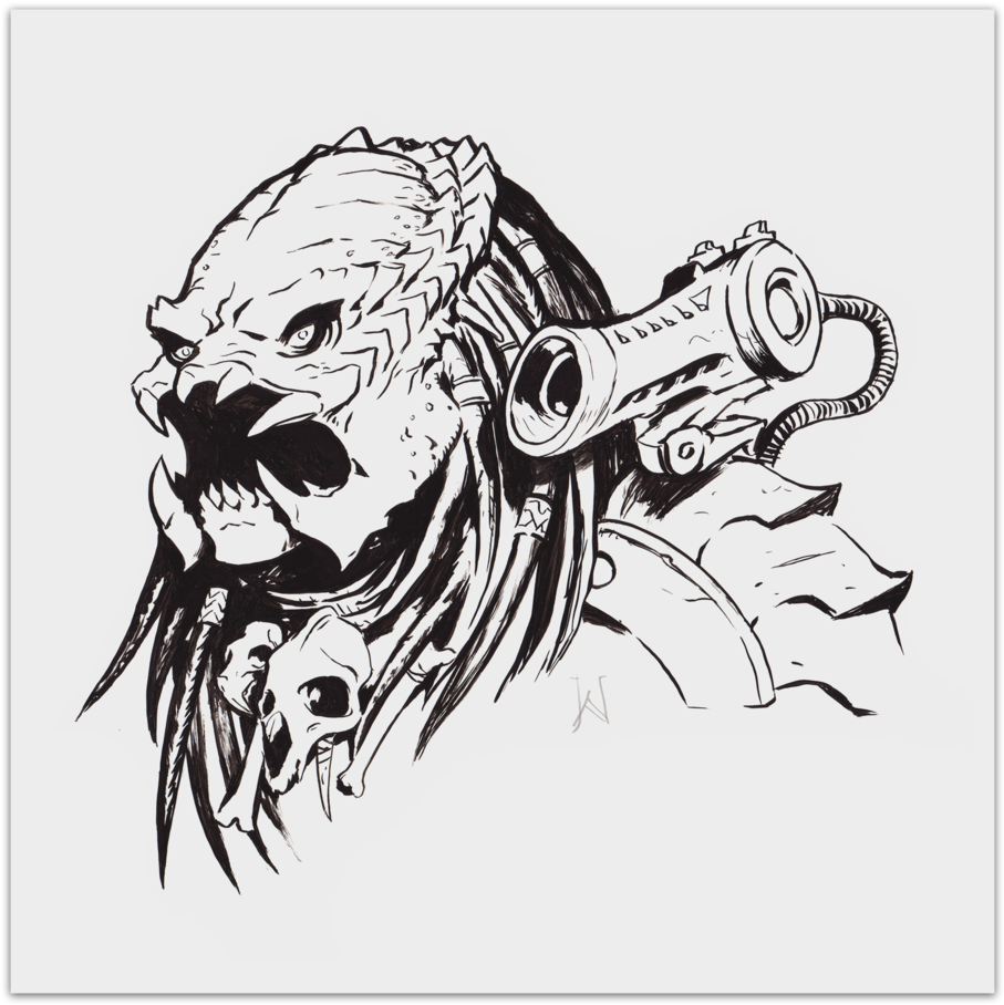 Predator - Drawing (1000x1000), Png Download