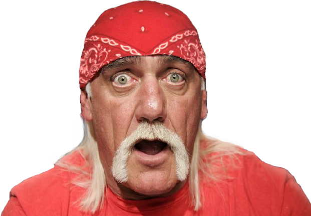 Wow I Just Realized I Actually Have A Perfect And Valid - George Foreman Hulk Hogan (621x431), Png Download