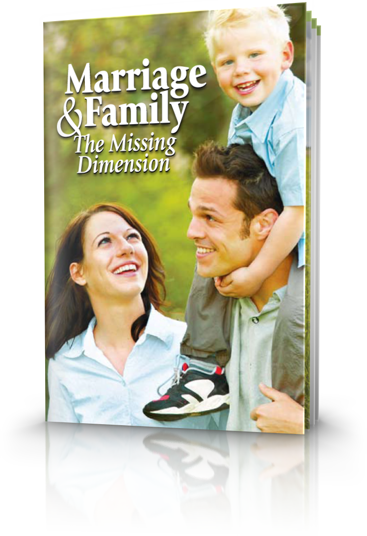 Marriage And Family - Daddy, Not A Father [book] (748x1093), Png Download