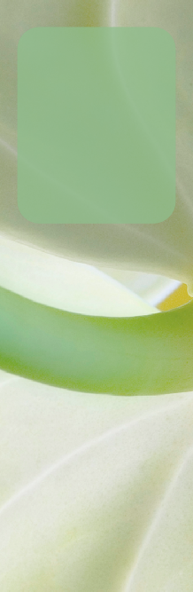 Practice Hours - Ensete (218x667), Png Download