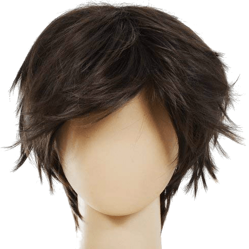 Download Male Short Hair Wig Ecvtop Wigs For Mens Death Note Male Short Cosplay Png Image With No Background Pngkey Com