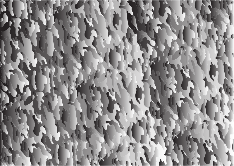 Medium Image - Monochrome (800x568), Png Download