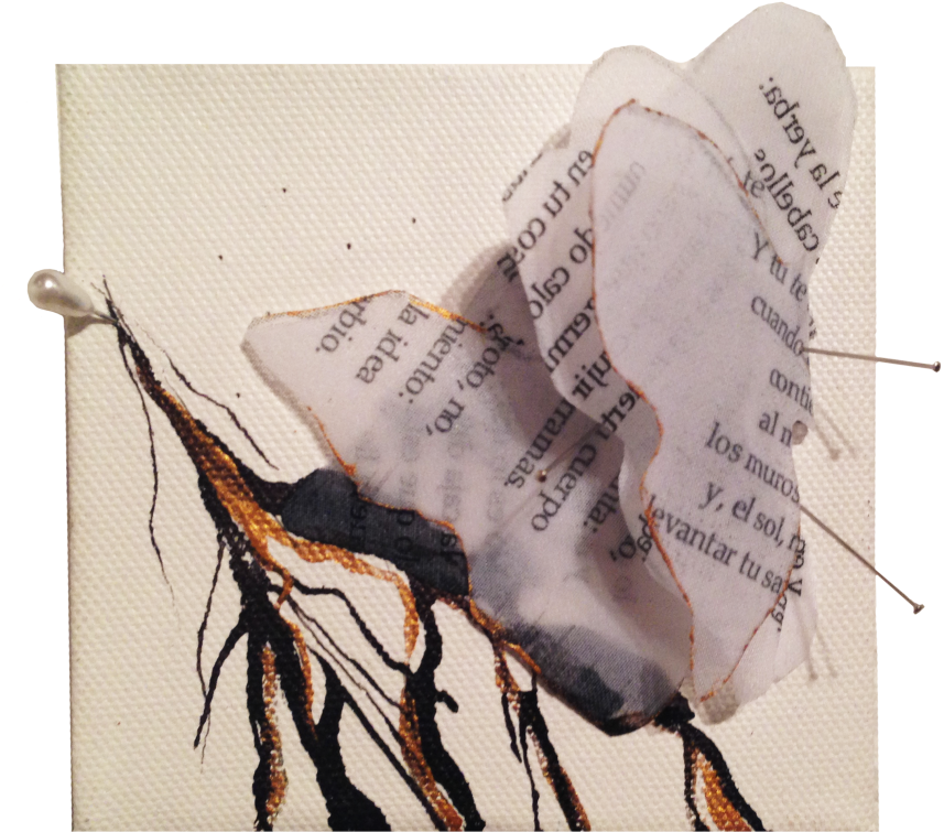 About This Project - Portuguese Man O' War (881x800), Png Download