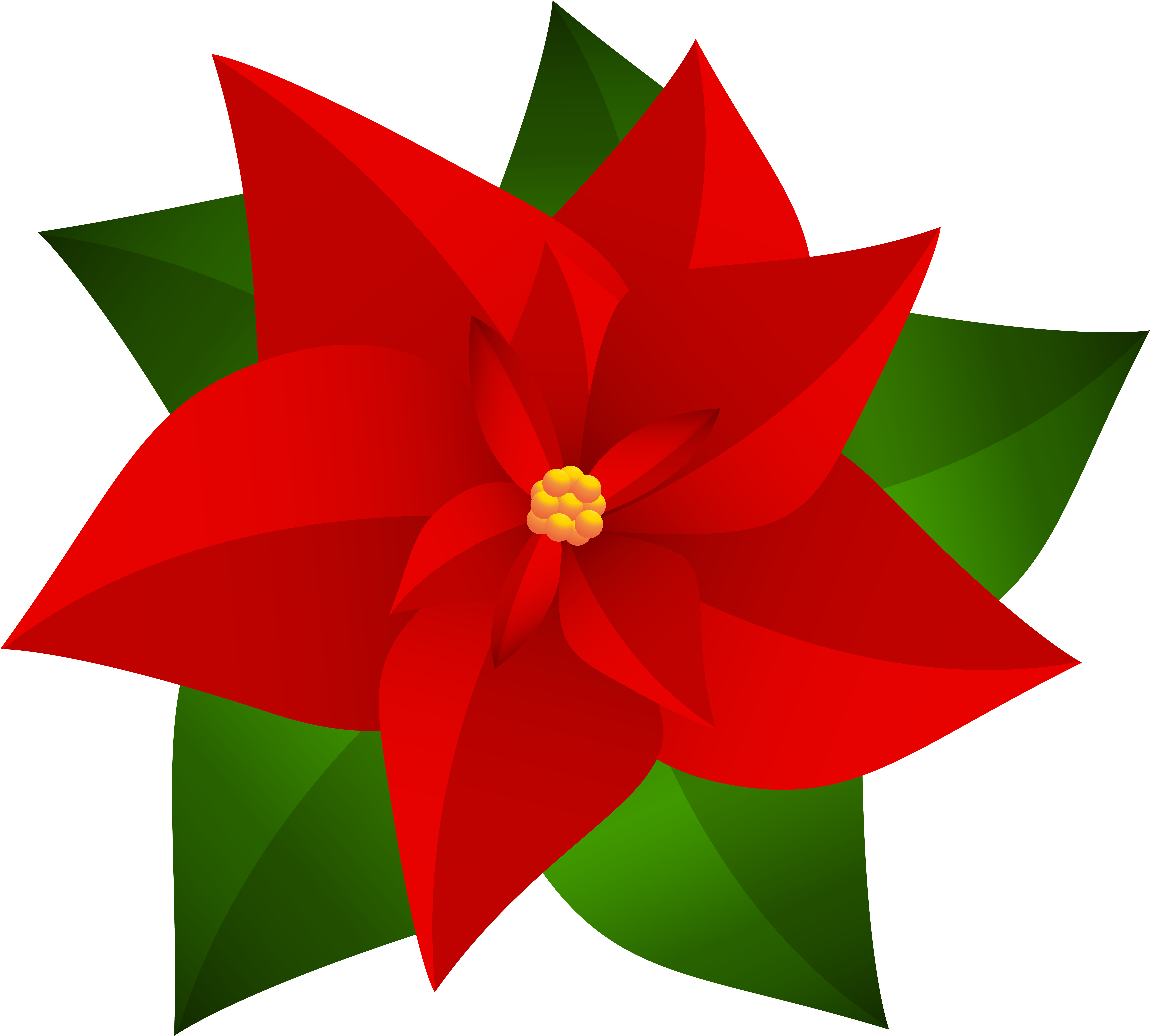 7 Poinsettia Transparent For Free Download On Mbtskoudsalg (8000x7205), Png Download