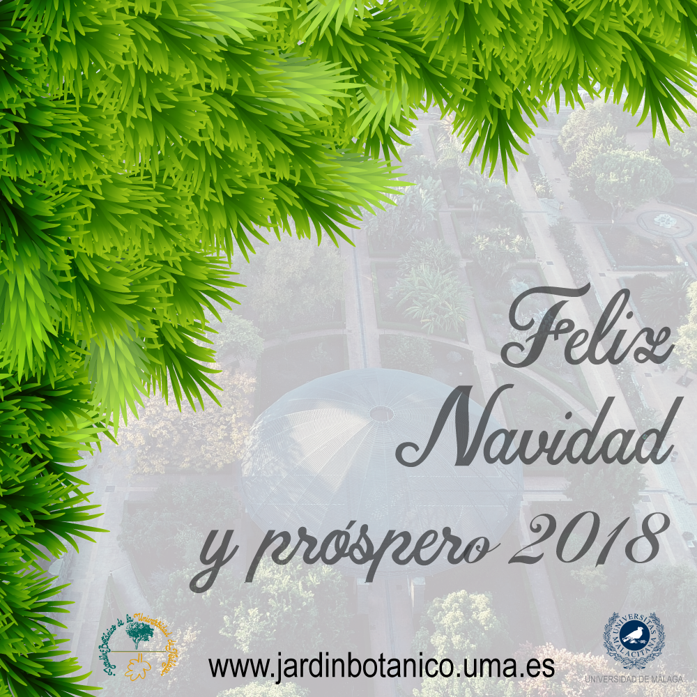 Felicitation Botanico Navidad 2017 - Christmas Day (1000x1000), Png Download