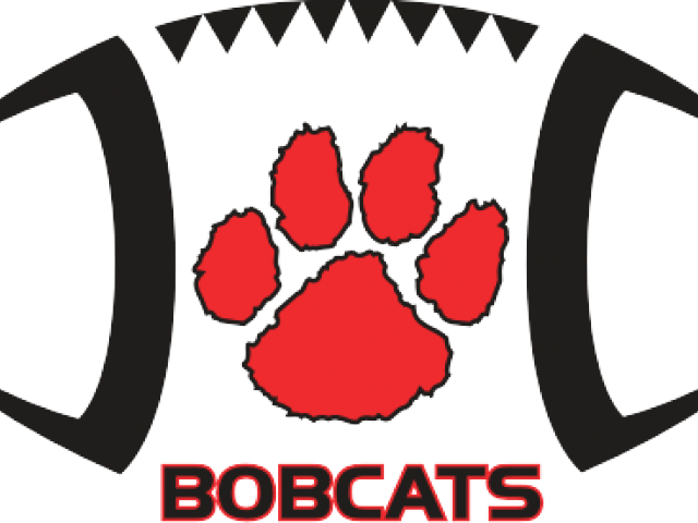 Banner Freeuse Library Cliparts X Carwad Net - Honeoye Falls Lima Cougars (640x480), Png Download
