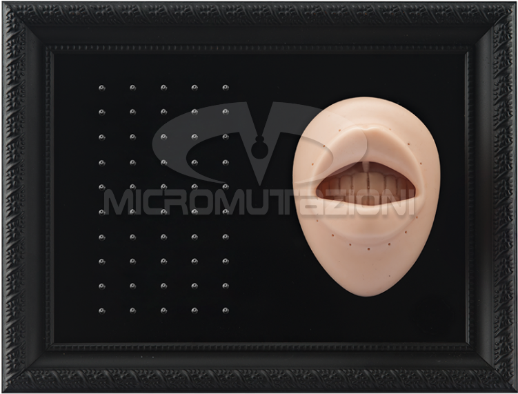 Tattooable Lip Body Parts Display For Internal Micro - Jewellery (750x750), Png Download