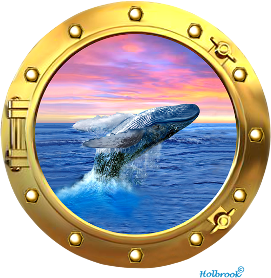 Click And Drag To Re-position The Image, If Desired - Humpback Whale Breaching At Sunset (600x585), Png Download