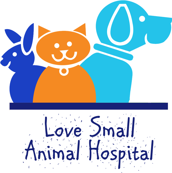 Lisa Gatlin - Love's Small Animal Hospital (620x603), Png Download