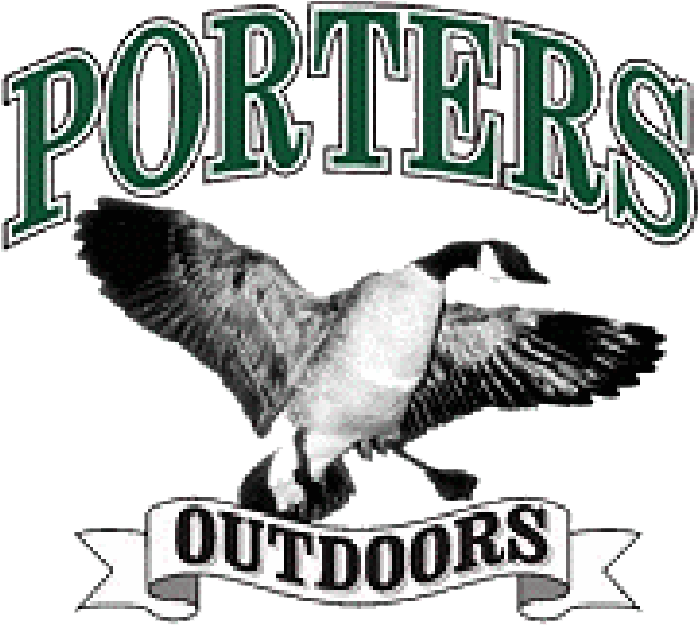 Illinois - Goose (1000x1000), Png Download