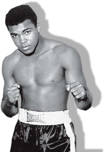 Free Icons Png - Muhammad Ali Transparent (365x500), Png Download