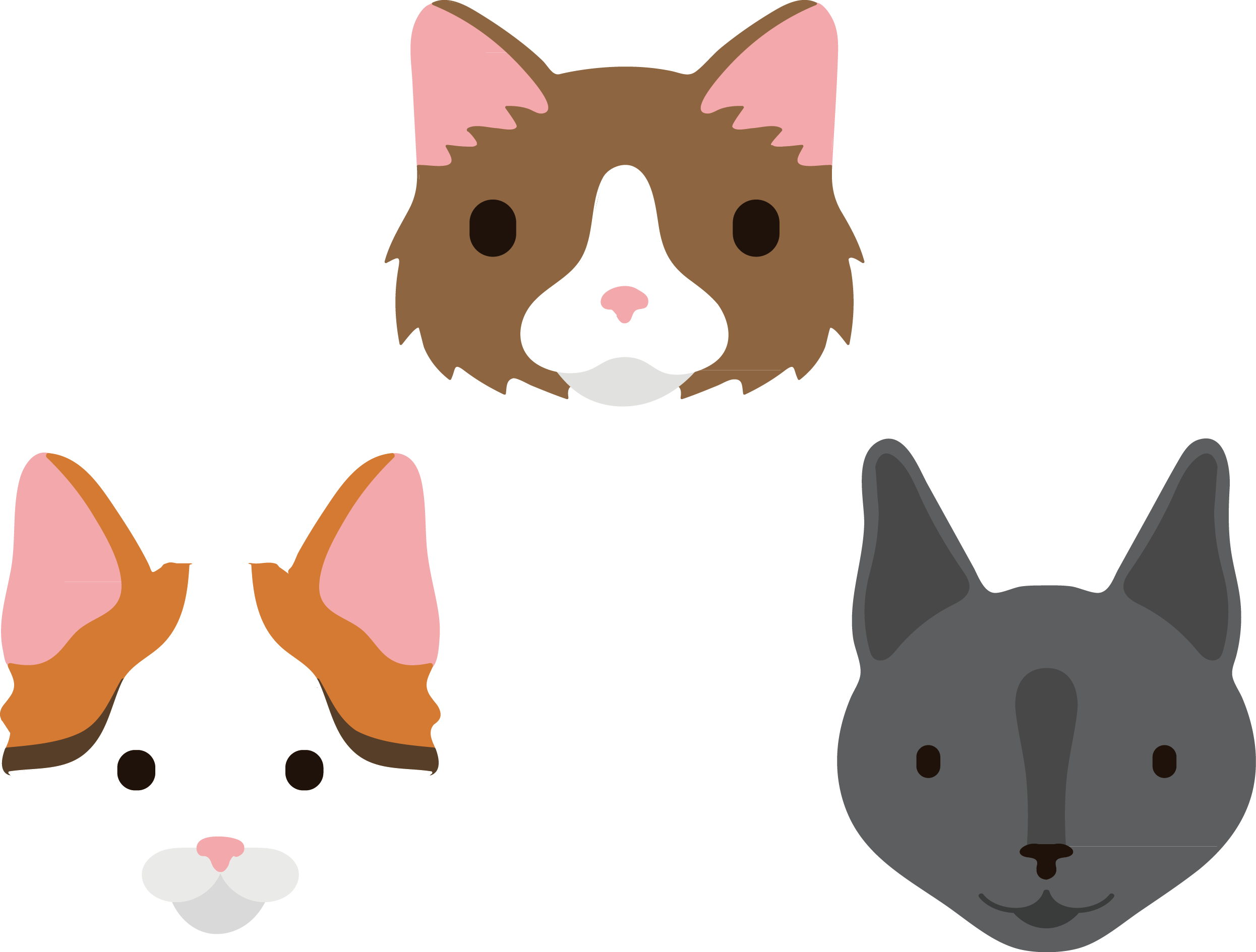Whiskers Clipart Nose - Cat (2491x1889), Png Download