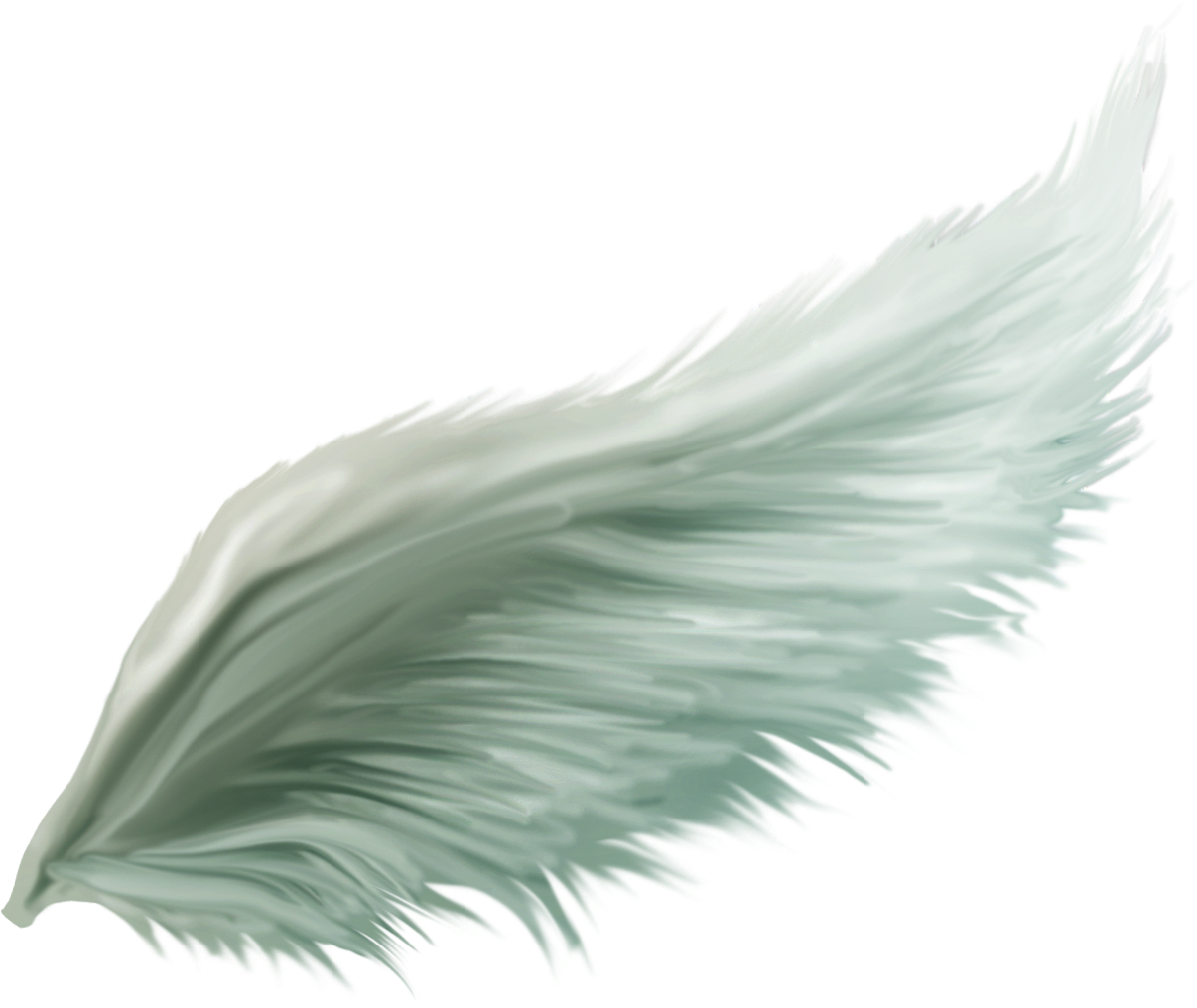 Christmas Tree (1206x1016), Png Download