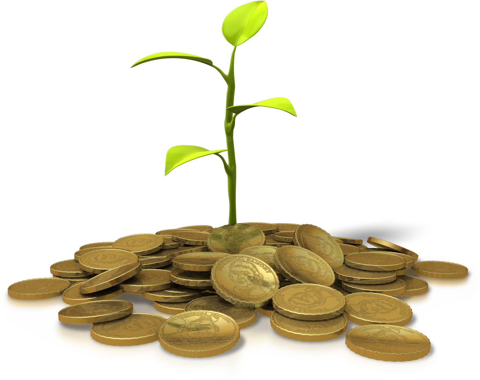 A Plant Growing From A Pile Of Gold Coins - Financial Prosperity Png (1600x1250), Png Download