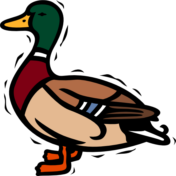 Mallard Duck Clipart (600x599), Png Download
