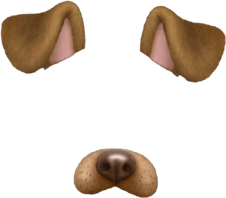 Dog Puppy Snapchat Cat We Heart It - Snapchat Dog Filter Png (660x607), Png Download