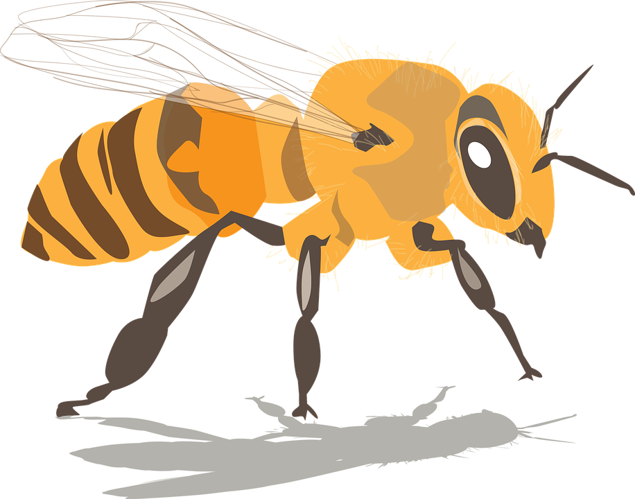 Swarm, Of, Bees - Enjambre De Abejas Png (916x720), Png Download