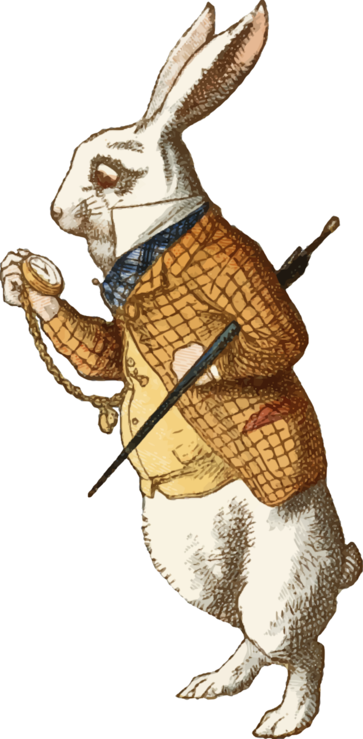Jpg Black And White Clipart The White Isolated Colour - Alice In Wonderland Rabbit Illustration (1181x2400), Png Download