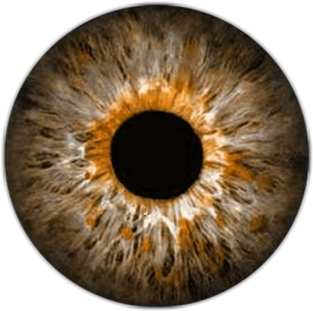 Lente Pinterest Eye Anatomy - Olhos De Vampiro Png (500x500), Png Download