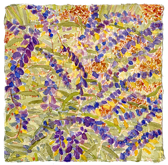 Watercolor - Motif (548x540), Png Download