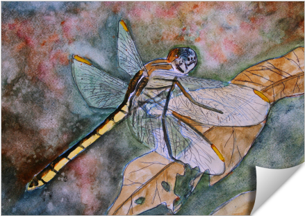 Dragonfly - Artist (674x516), Png Download