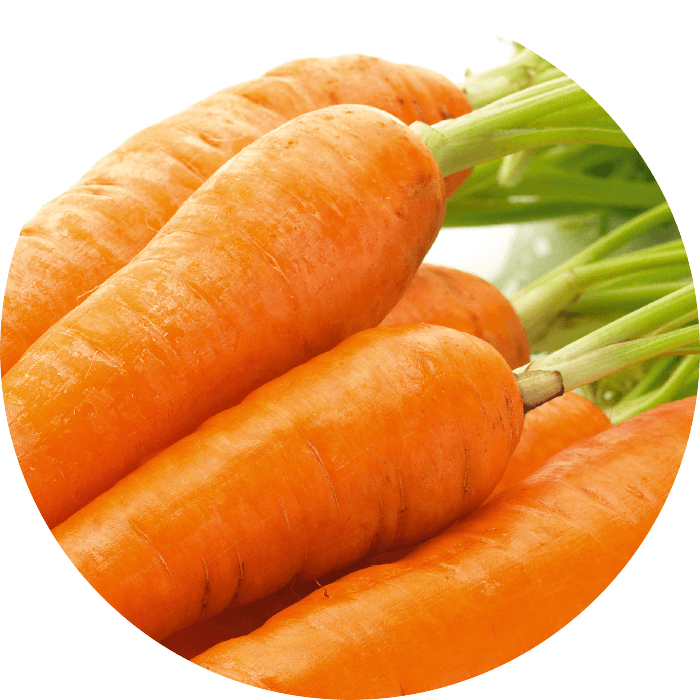 Carrot Extract - Carrot (700x700), Png Download