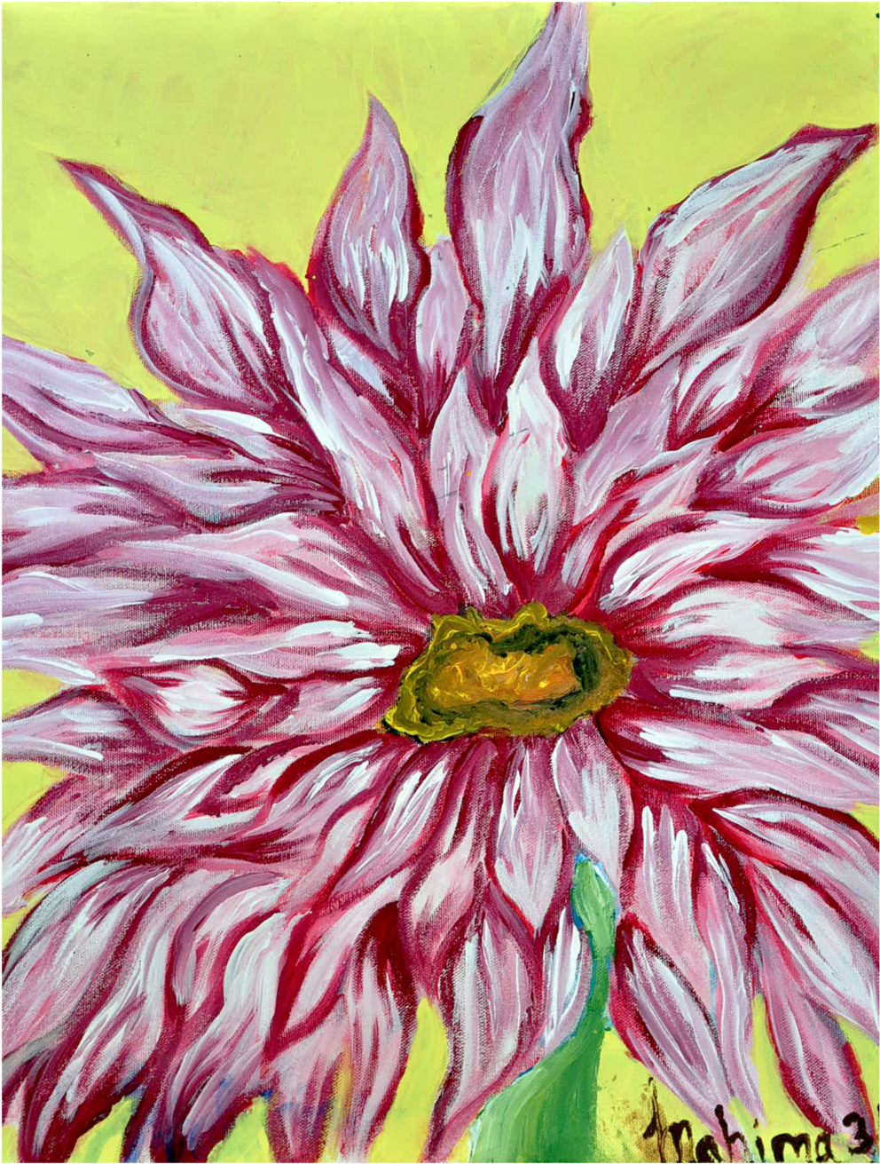 Pink Firework Size (1000x1505), Png Download