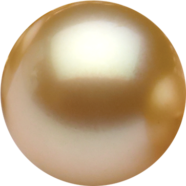 White Pearl Png - Gold Pearl Png (453x362), Png Download