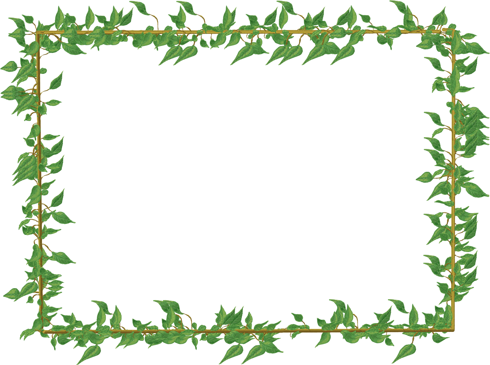 Green Floral Border Png Picture - Ivy Frame (1024x768), Png Download