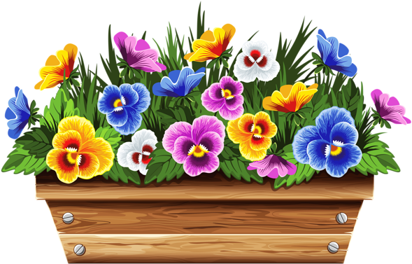 Box With Violets Png Clipart Picture - Flower Box Clipart (600x403), Png Download