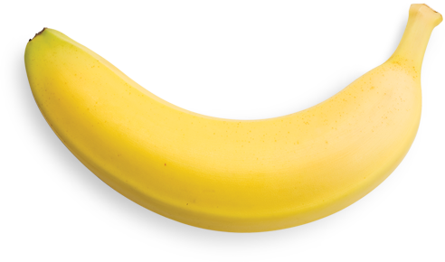 Banana Png - Banana On White Background (492x290), Png Download