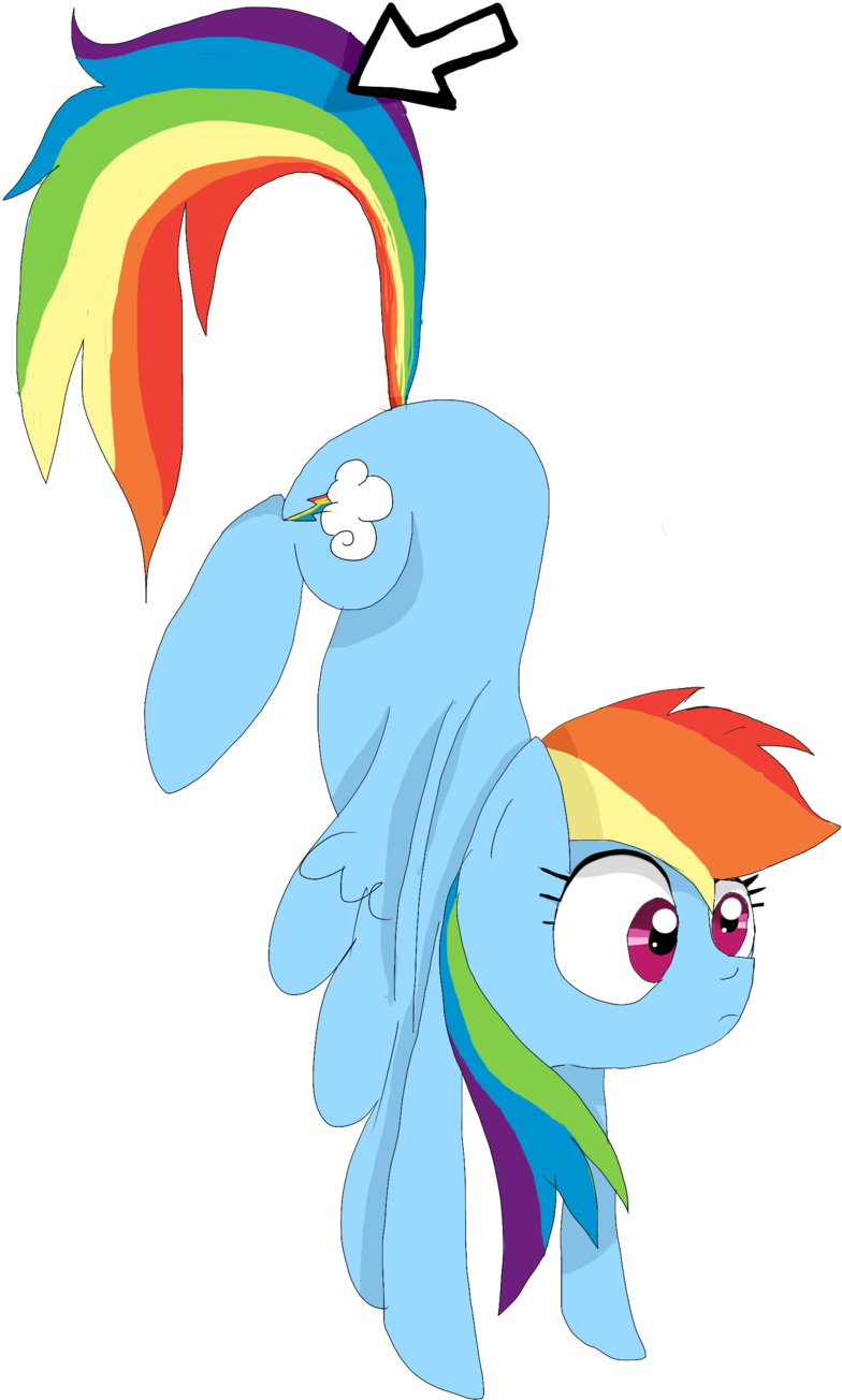 Misspolycysticovary, Computer Mouse, Cursor, Desktop - Rainbow Dash (1024x1381), Png Download