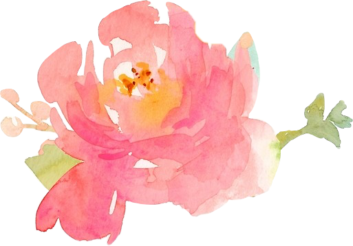 Report Abuse - Watercolor Peony (513x358), Png Download