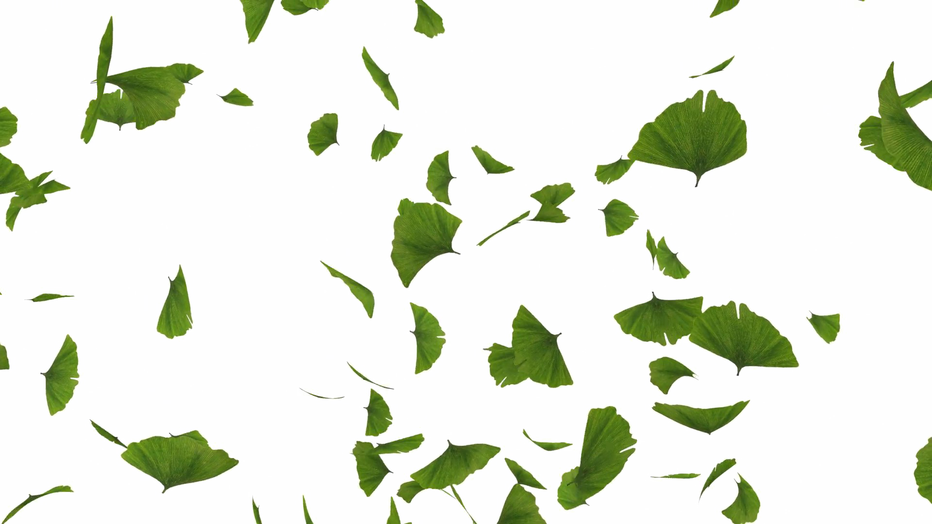 Falling Green Leaves Free Png Image - Green Leaves Png (1920x1080), Png Download