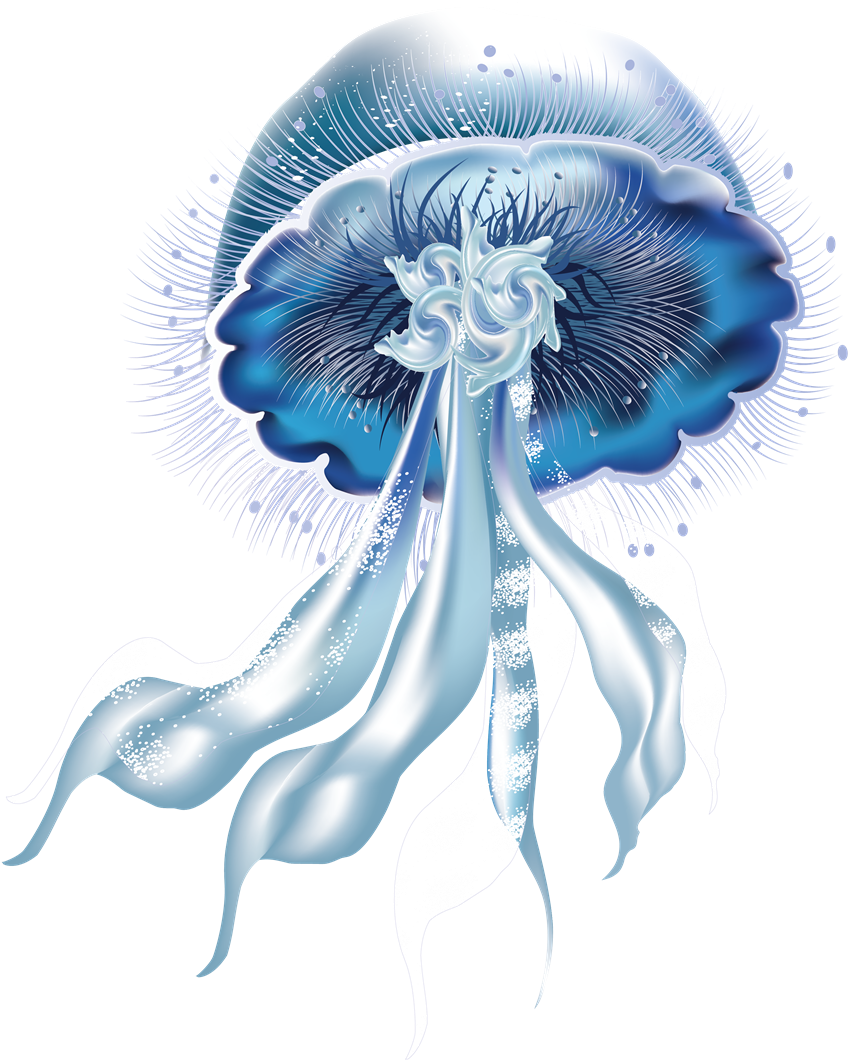 Jellyfish Png Picture - Jellyfish (1200x1200), Png Download