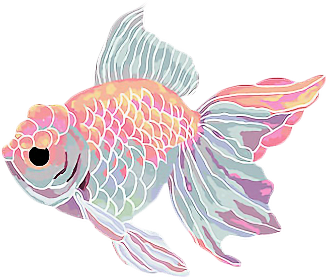 Goldfish Clipart Kawaii - Aesthetic Fish Png (648x550), Png Download