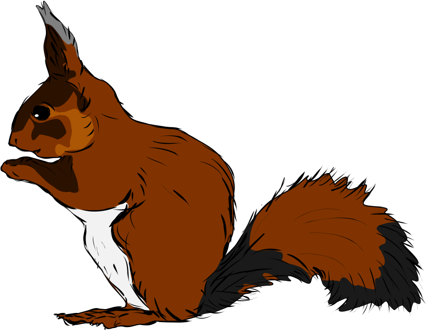 How To Set Use Squirrel Clipart (900x705), Png Download